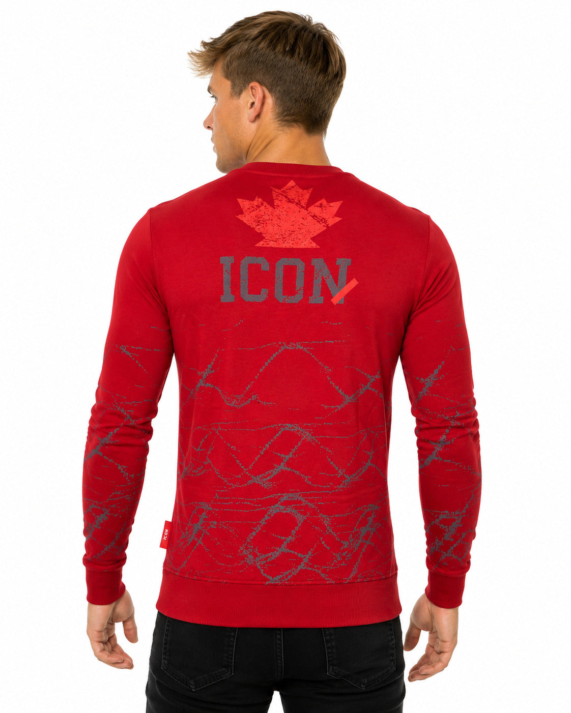 DSQ2 Sweatshirts for Men