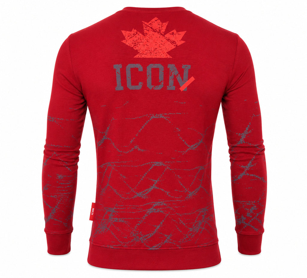 DSQ2 Sweatshirts for Men